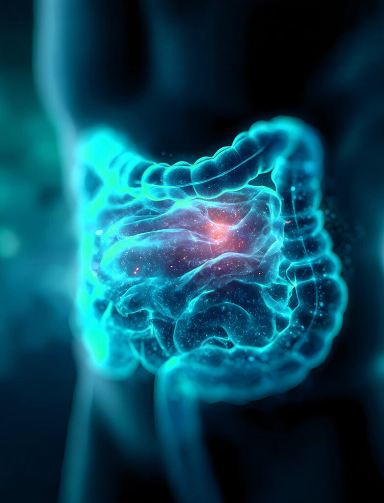 intestino